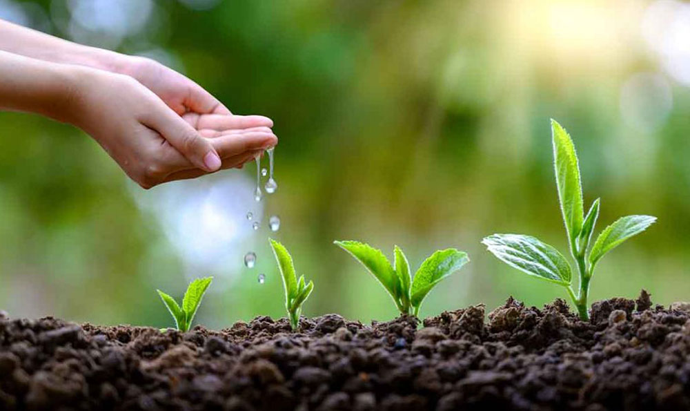 compostable-flexible-film Компостируемый сгиб-фильт