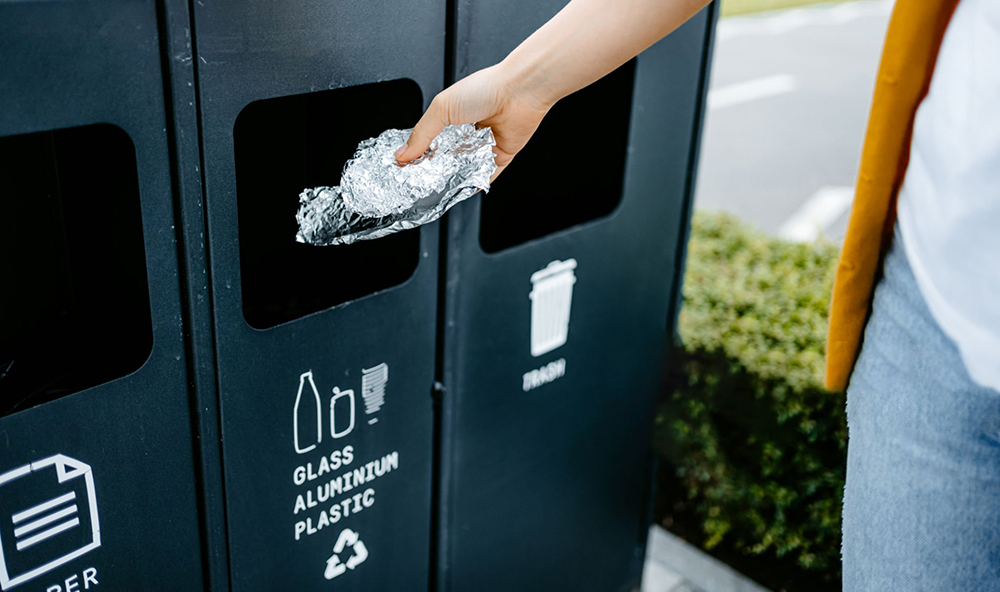 Устойчивые альтернативы-2