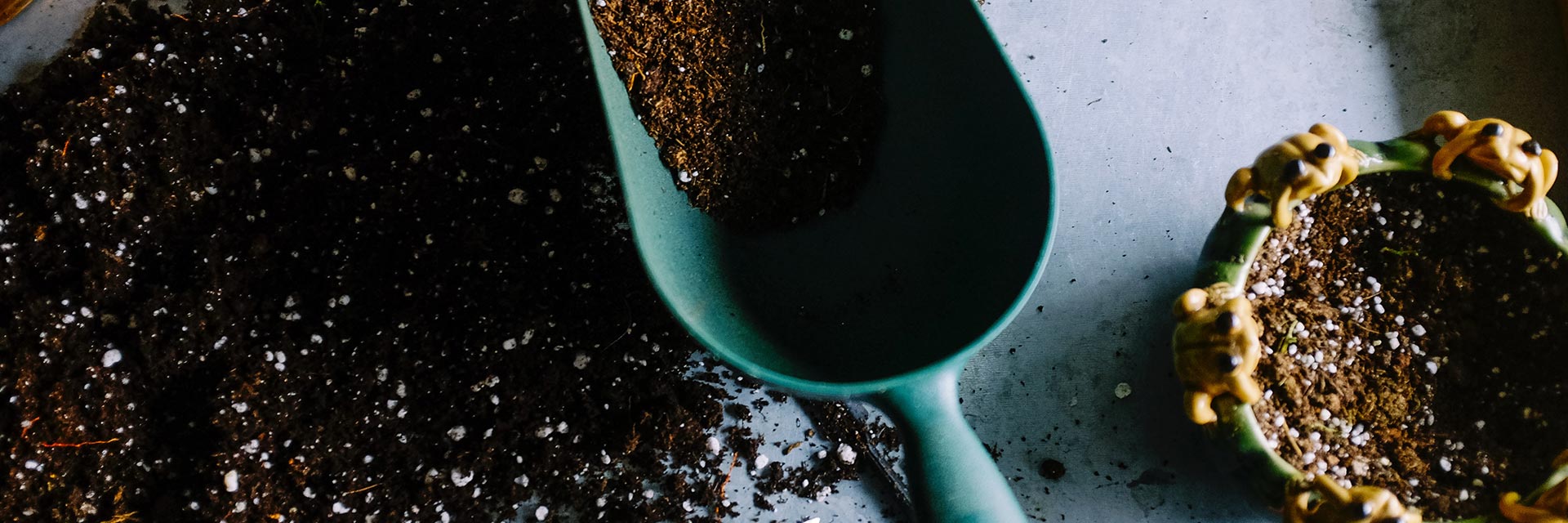 Синвенбаннер