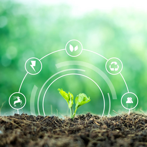 Что такое коммерческое компостирование: как оно работает и его преимущества