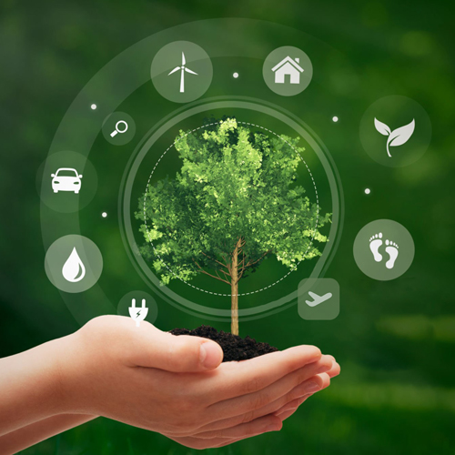 устойчивость-биопак