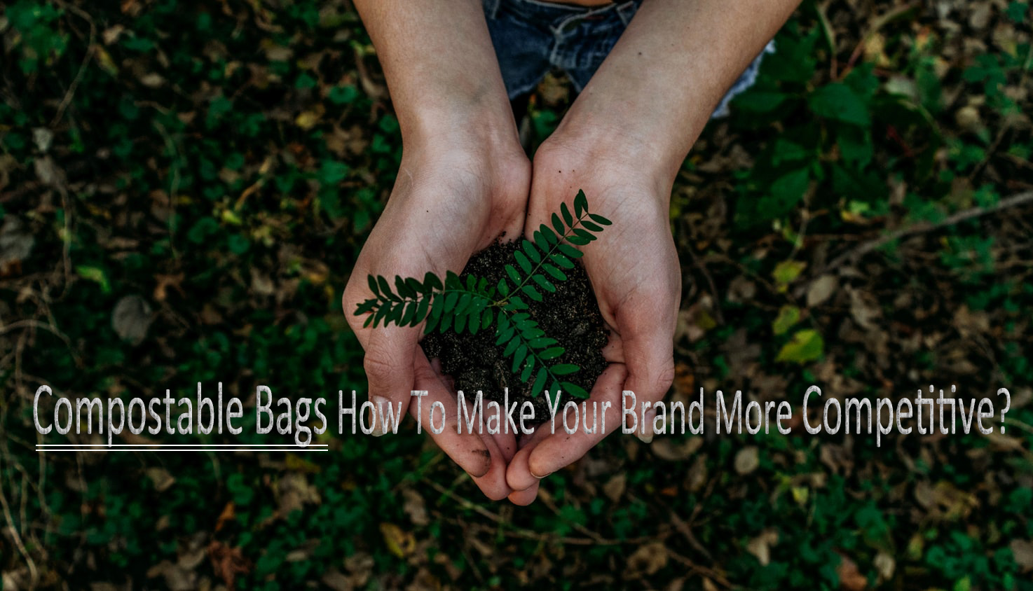 Компостируемые сумки Как сделать ваш бренд более конкурентоспособным?